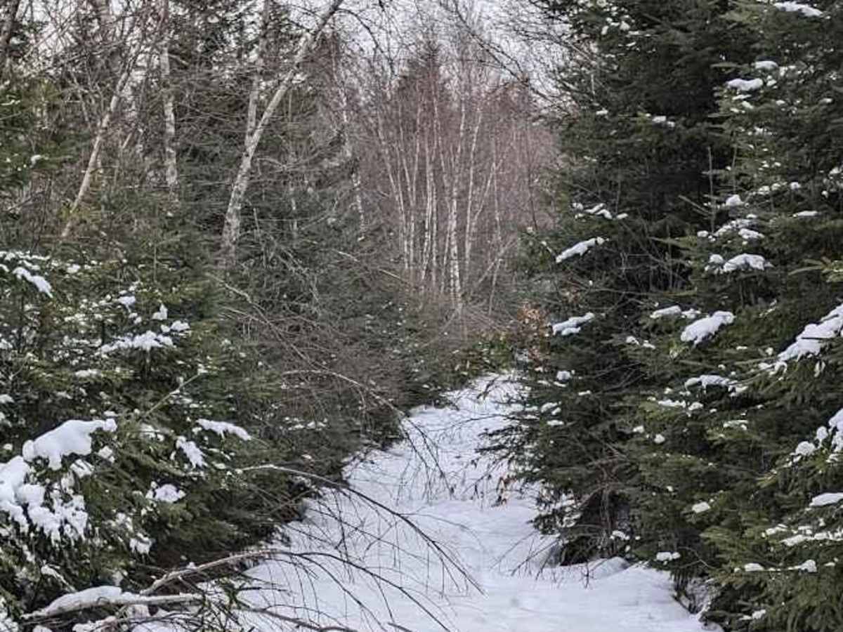 Crow Hill Loop photo 2