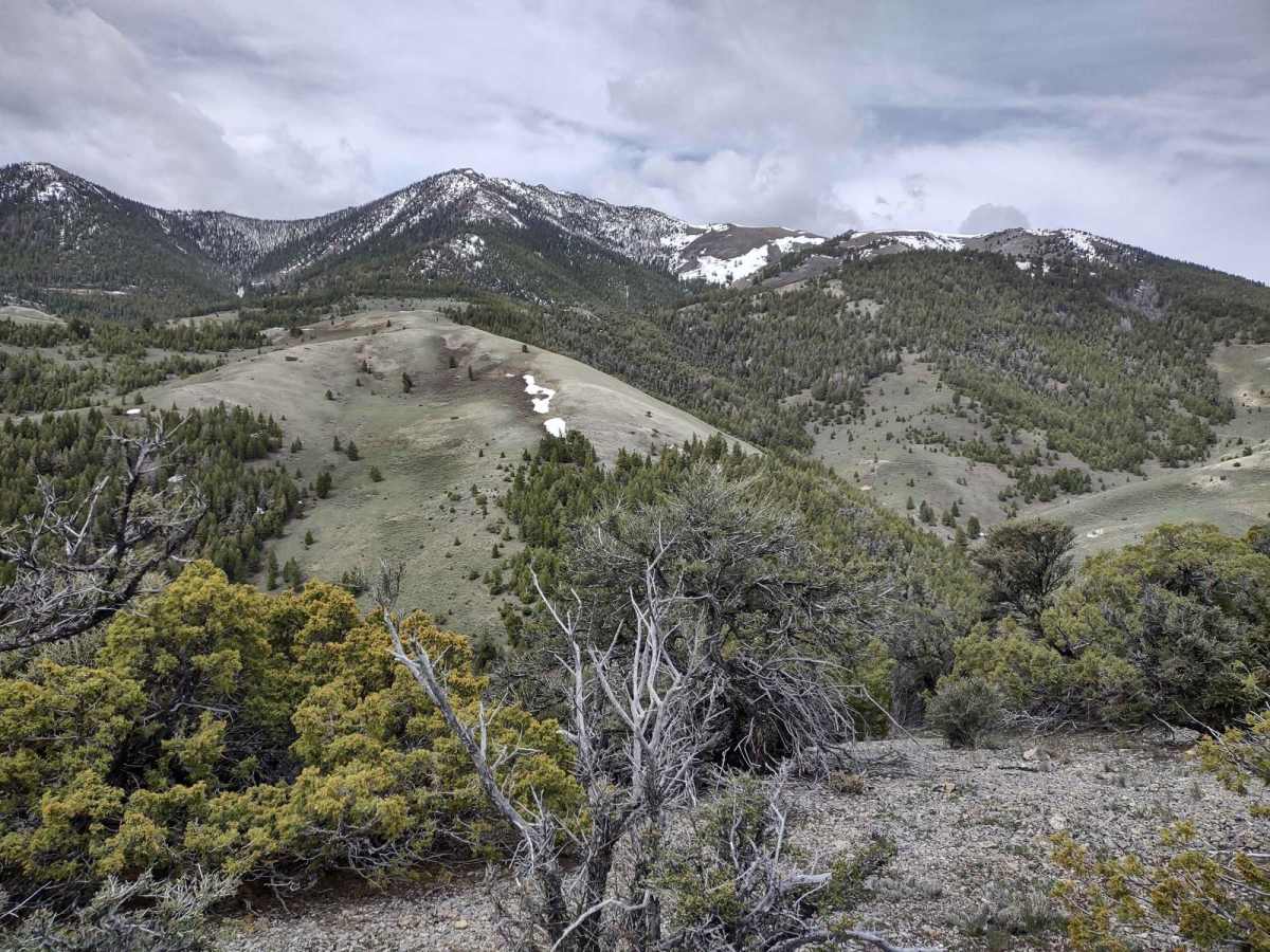Alder Creek Loop at Chimney Gulch trail photo
