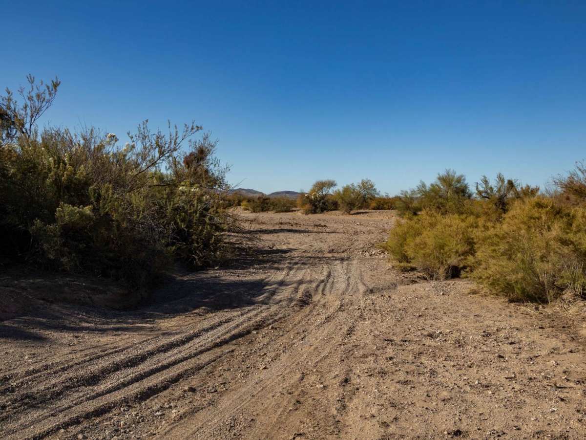 Varied Loop Trail photo 3