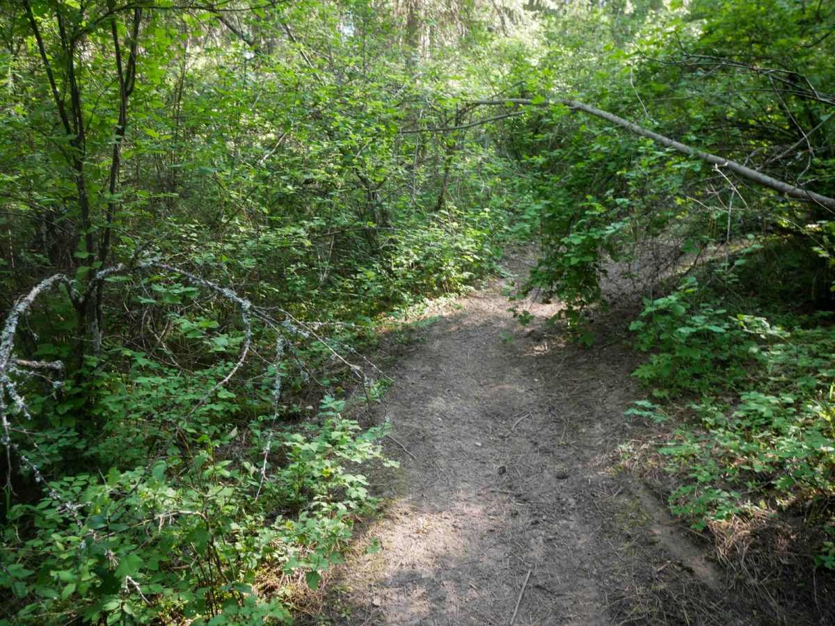 East Boundary photo 4