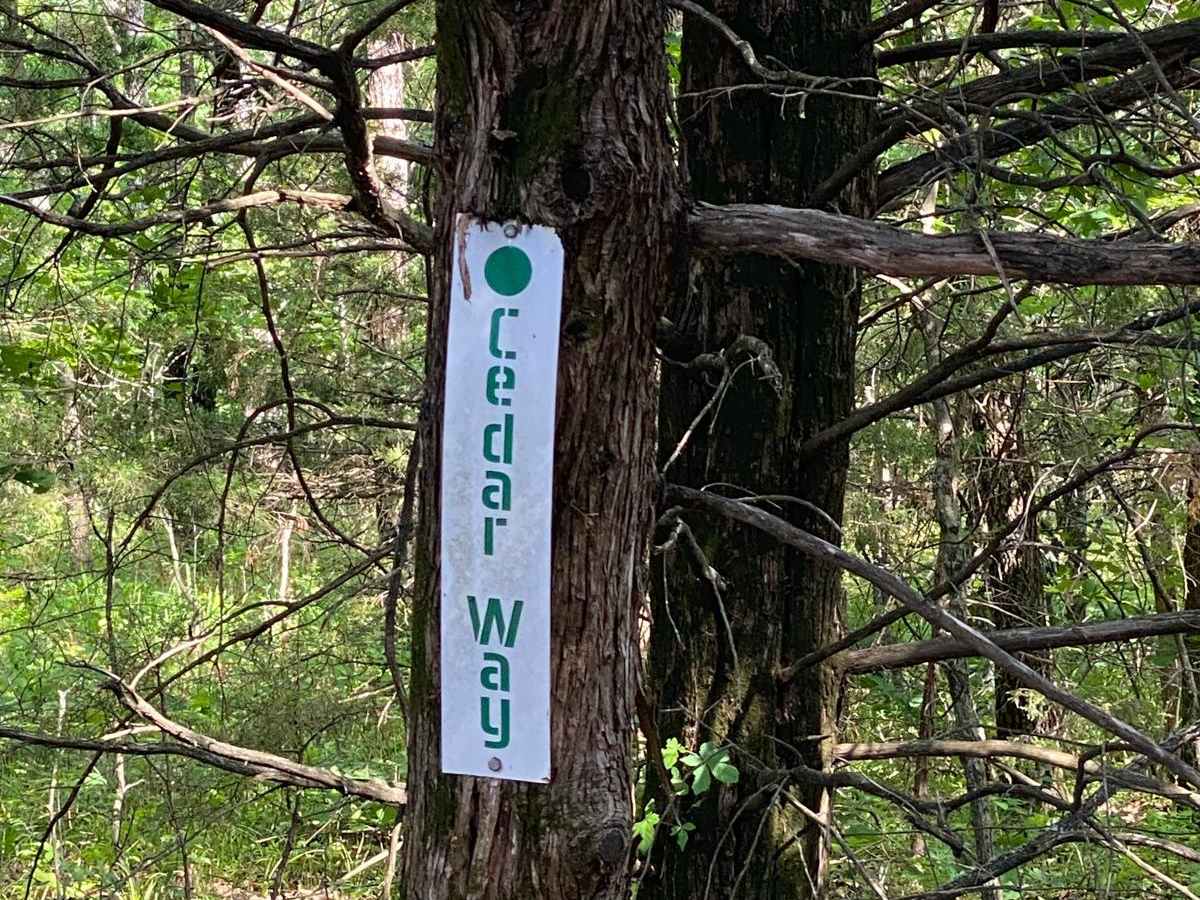Cedar Way trail photo