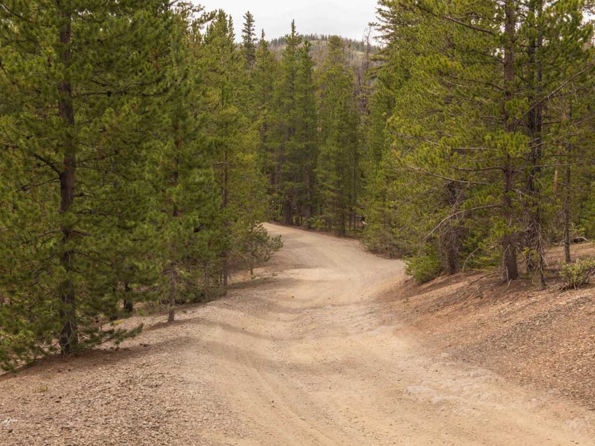 American Gulch Road - FR 567 photo 2