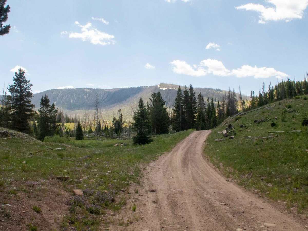 Mill Creek trail photo