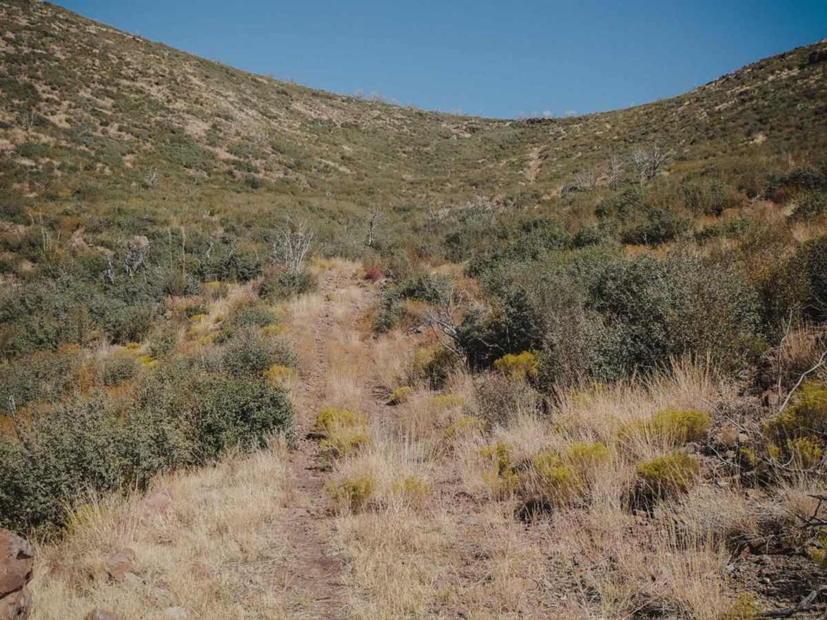 Little Wolf Creek photo 4