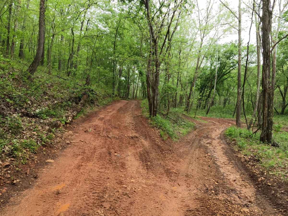 Dafron Hollow Trail photo 6