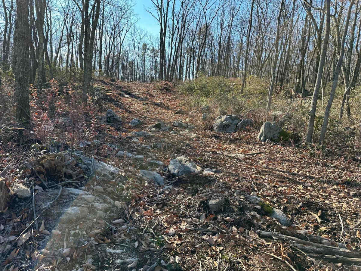 Darkwater 103 photo 4