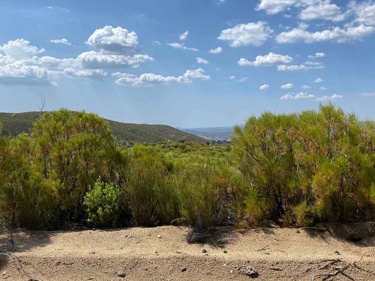 Laguna Hanson to El Compadre photo 4