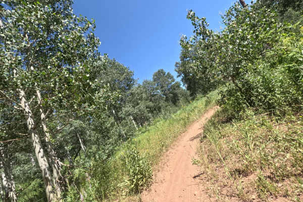 Jones Ranch South - FS 8123