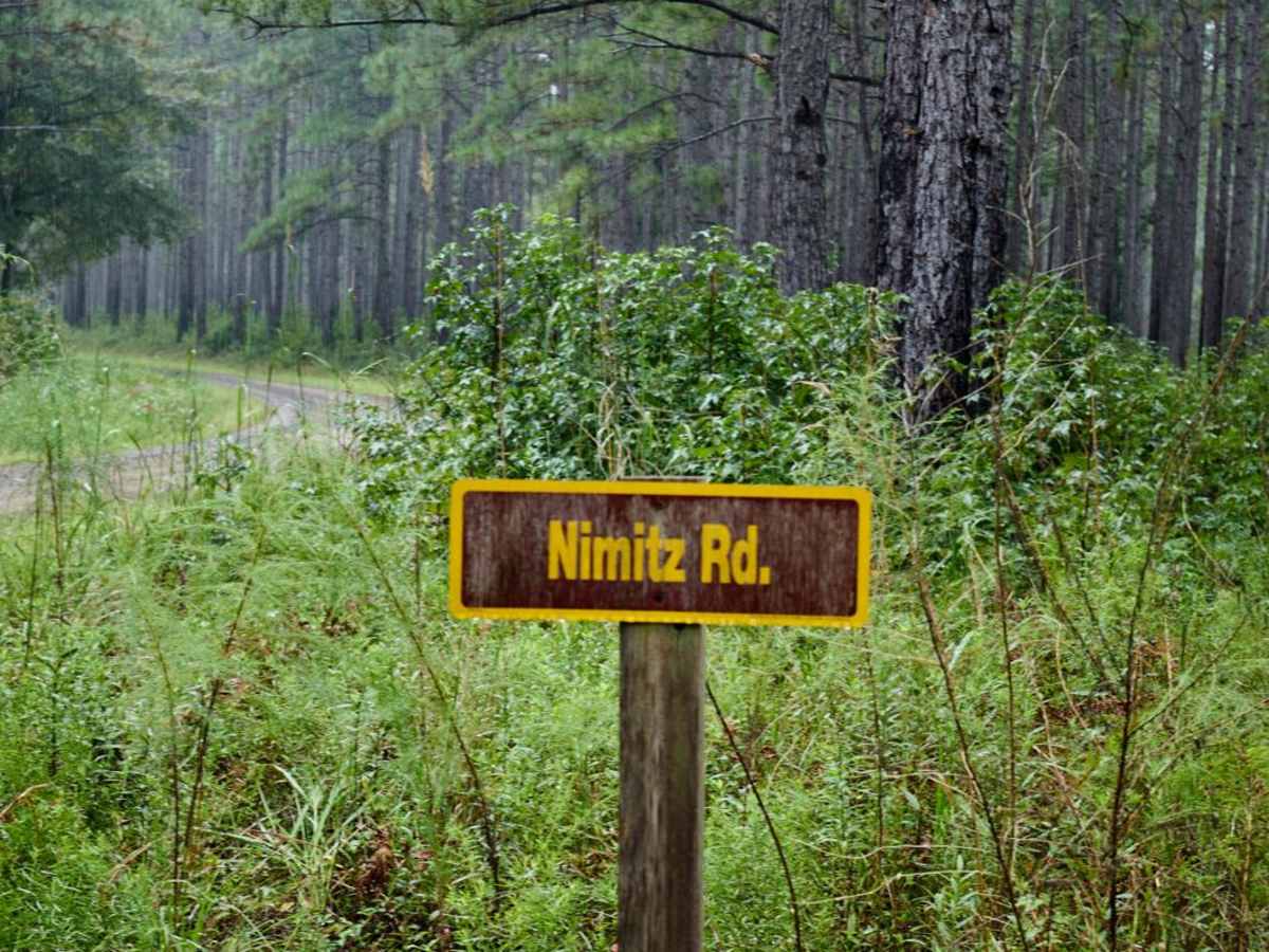 Bonneau Ferry WMA - Nimitz Road photo 5