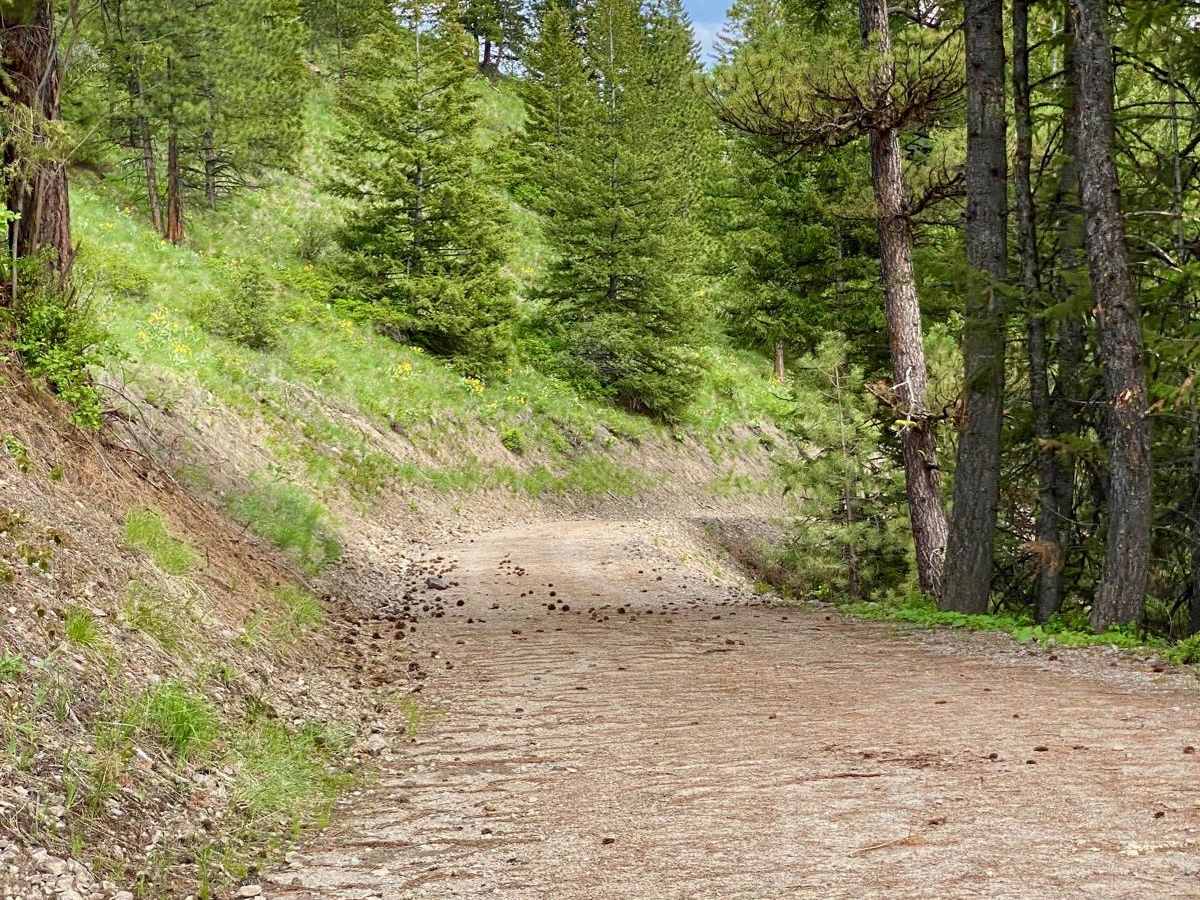 Eddy Creek Road-Deep Creek Road photo 3