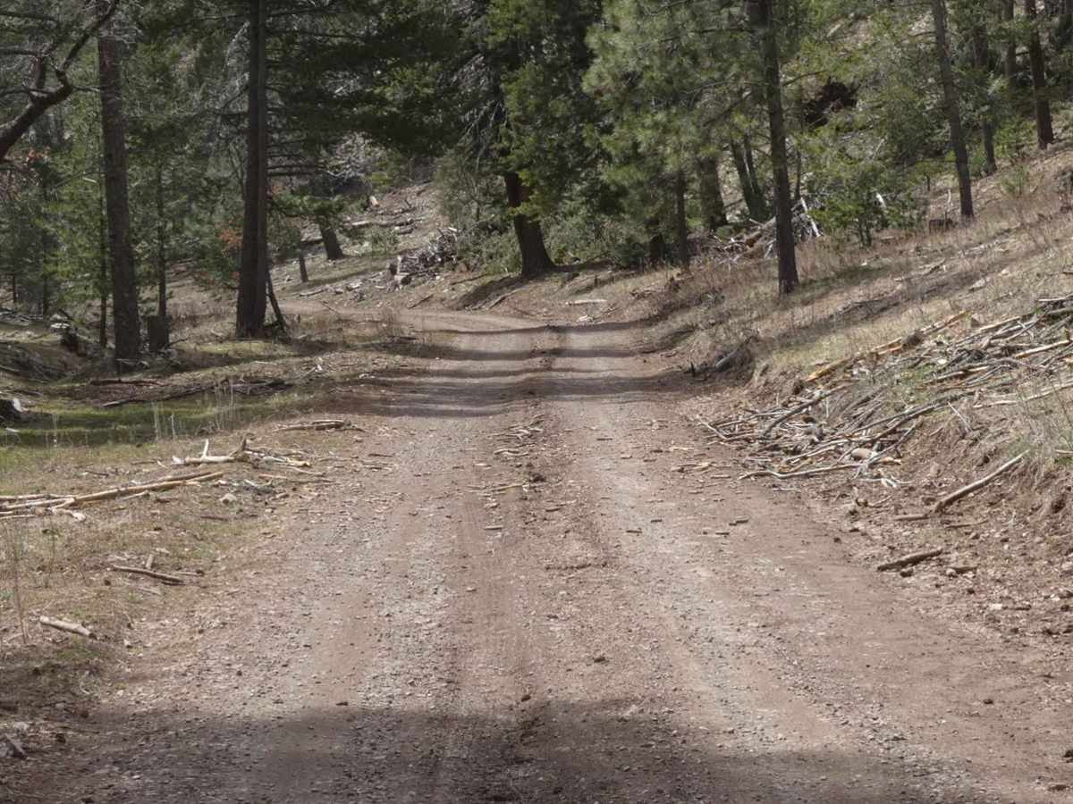 Long Canyon to Board Canyon (FS271) photo 5