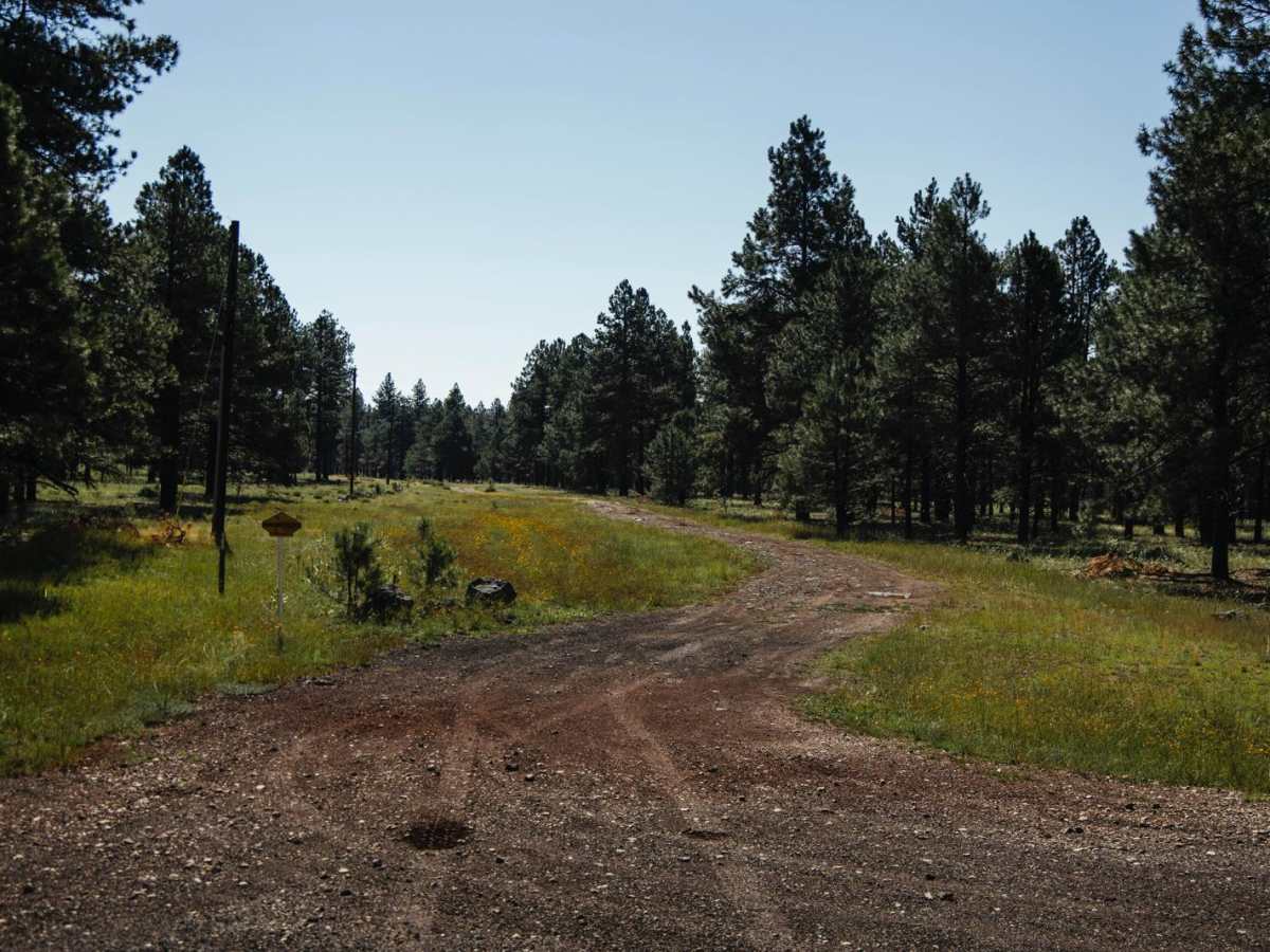 Pipeline Mid trail photo
