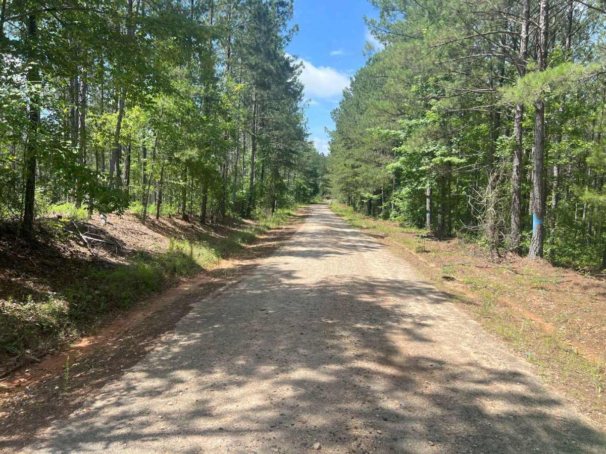 Pike Road photo 4