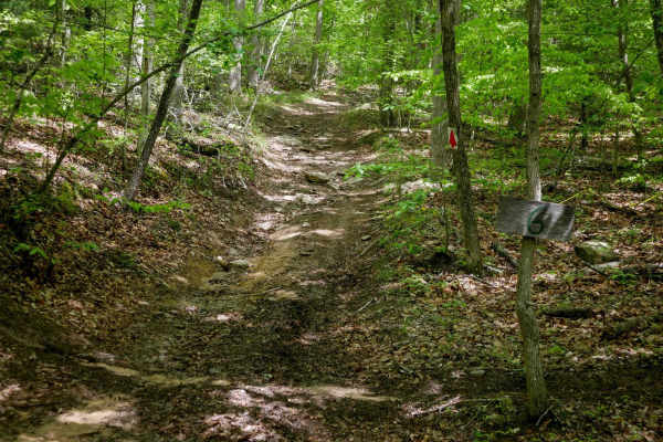 Trail 6