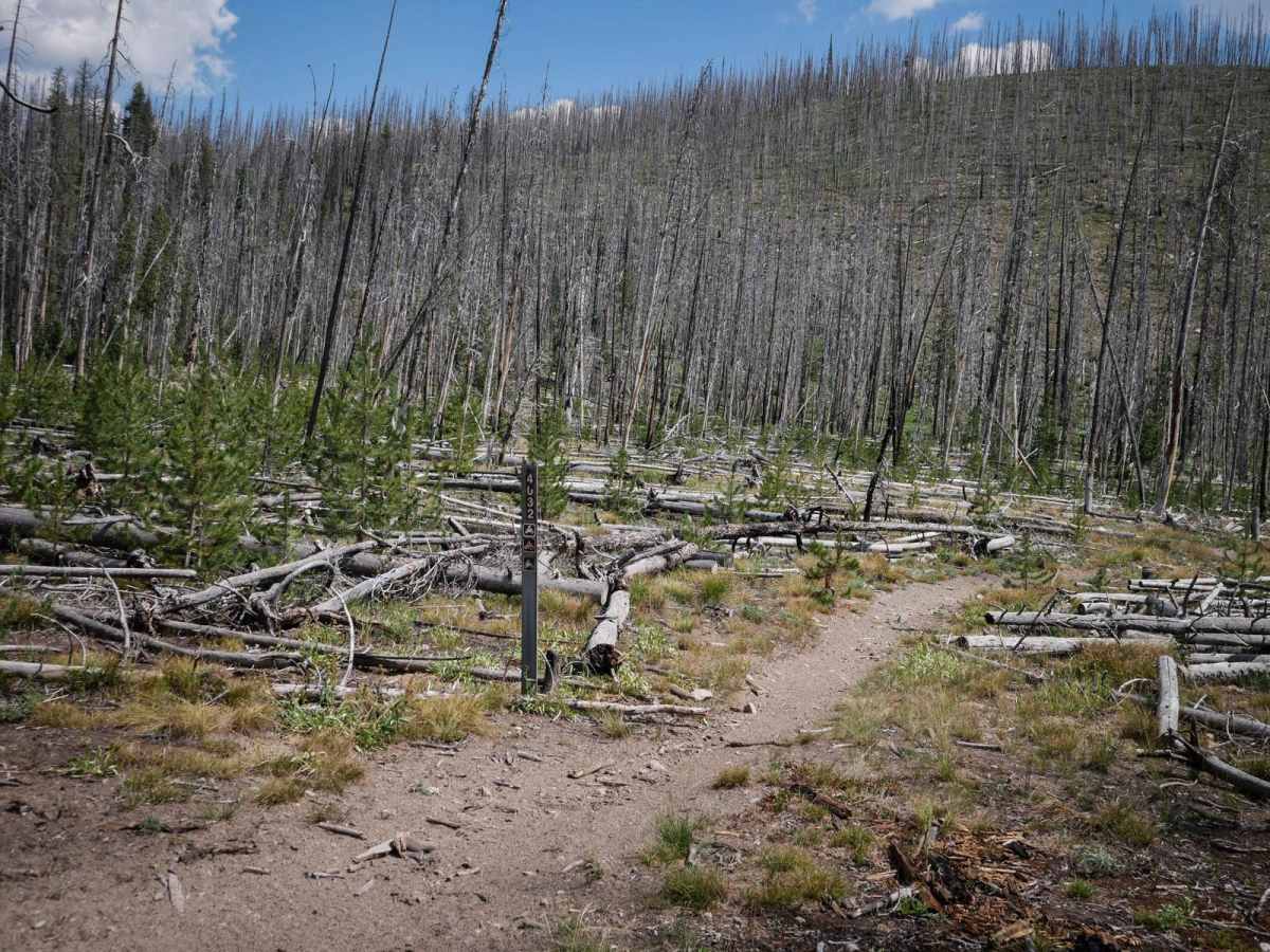 Hay Knapp Creek (North) trail photo