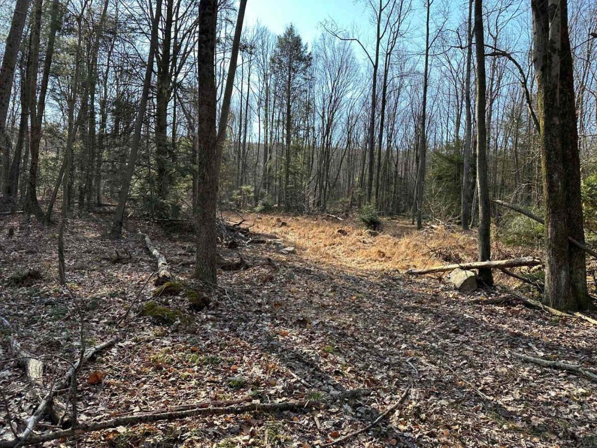 Tower City 30 trail photo