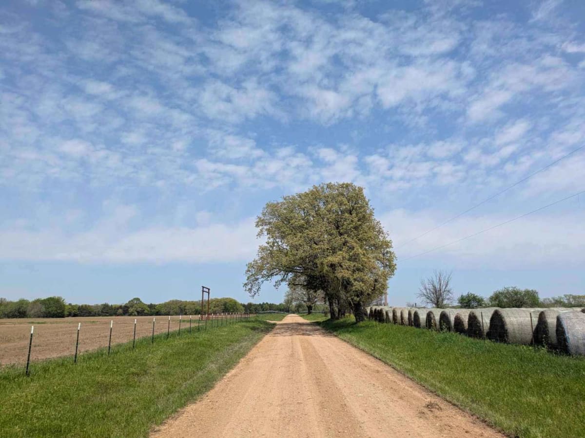 Bumpass Road photo 5