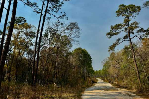 BuckHorn North - FS 360 South