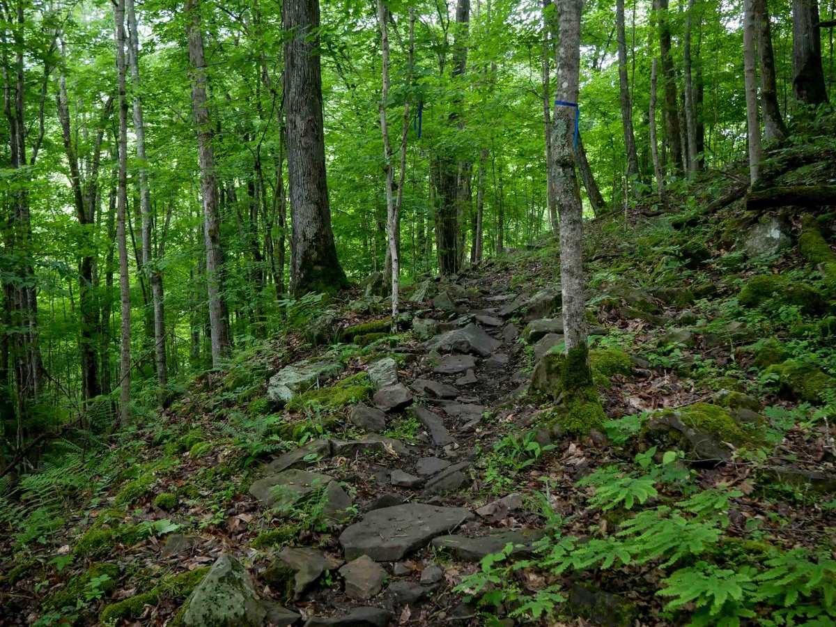 T90 trail photo