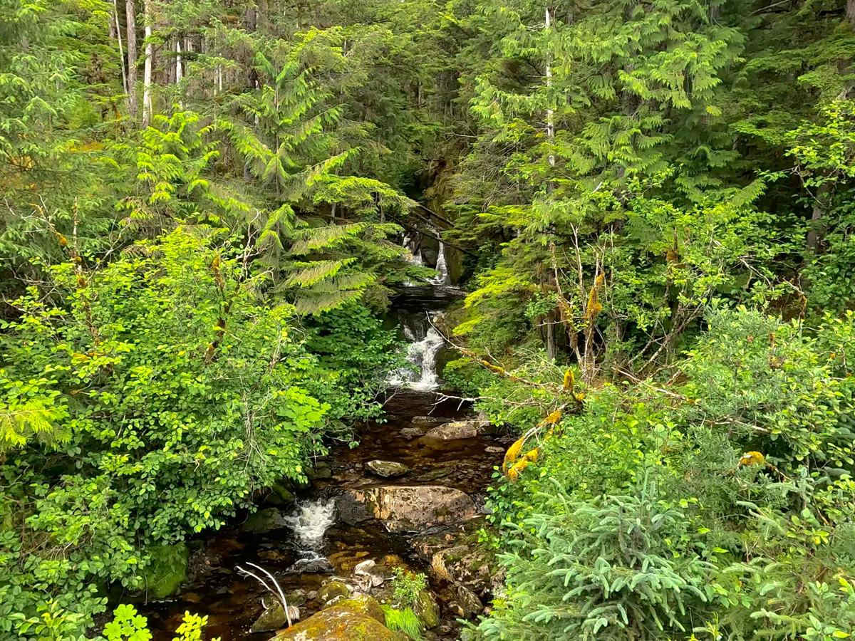 McCormick Creek - 6265 photo 6