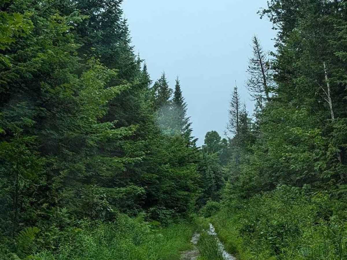 Coac Shortcut photo 3