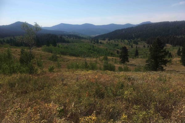 Pete Creek Trail