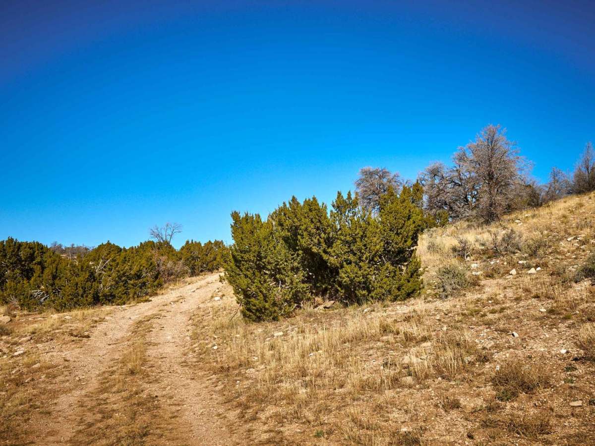 Old 2742 Road photo 4
