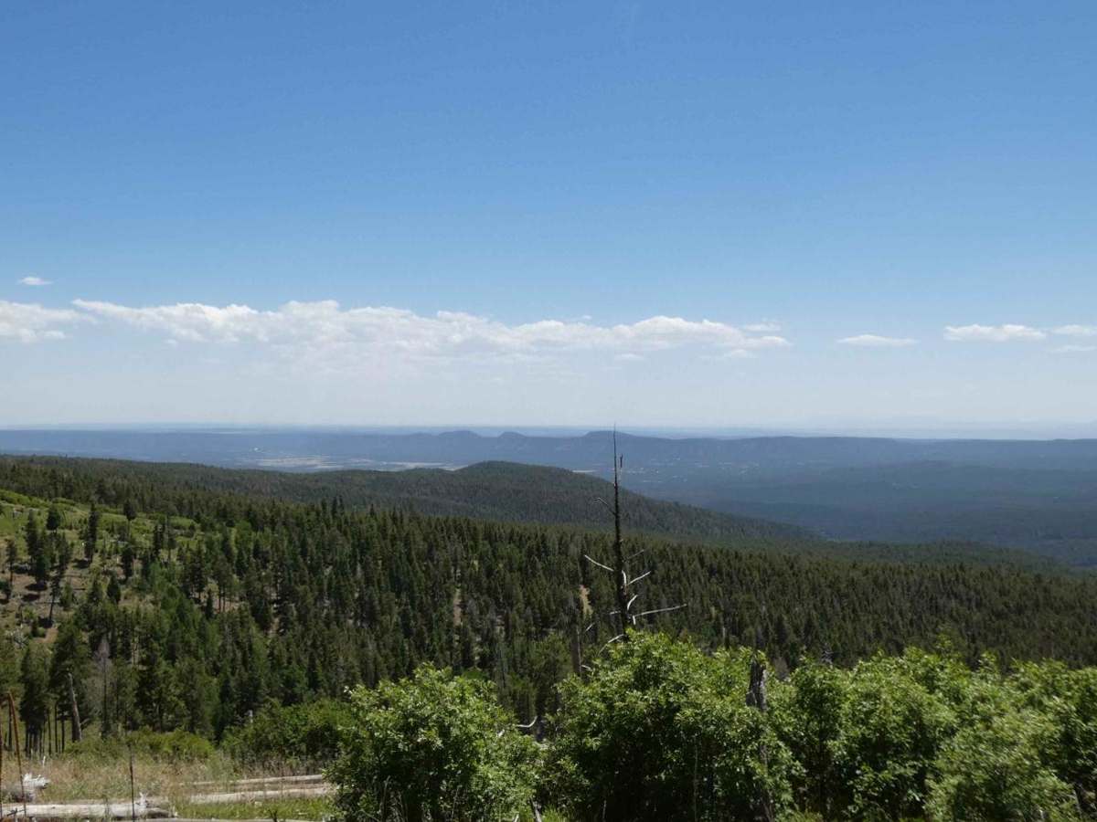 La Madera Viveash trail photo