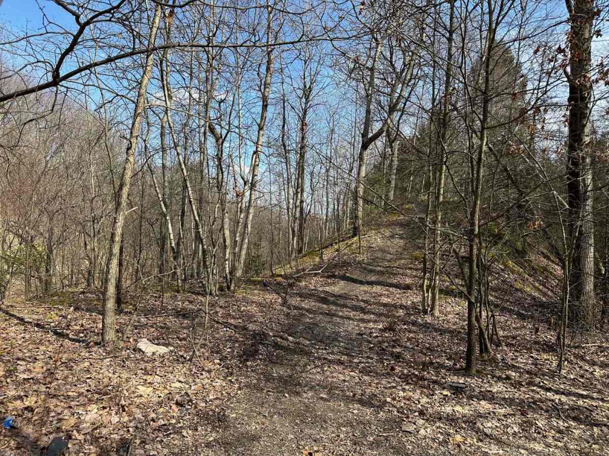 Ashland RORR Single Track - A photo 5