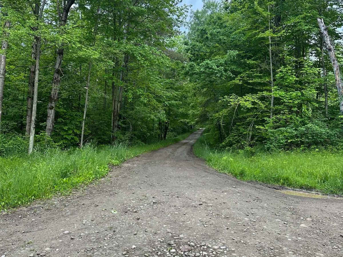 Back Road to Rattlesnake photo 4