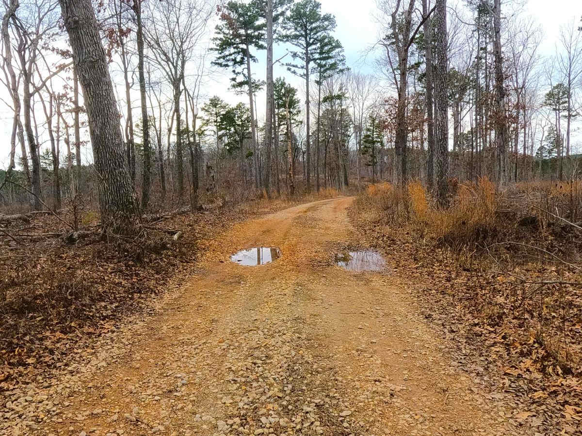 Snapps Hollow - FS 2698 photo 3