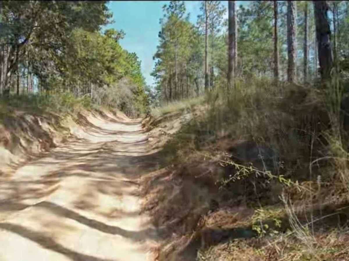 Trail 14 - West photo 3