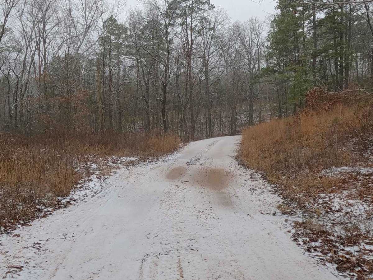 Meridian - FS 2421 photo 4
