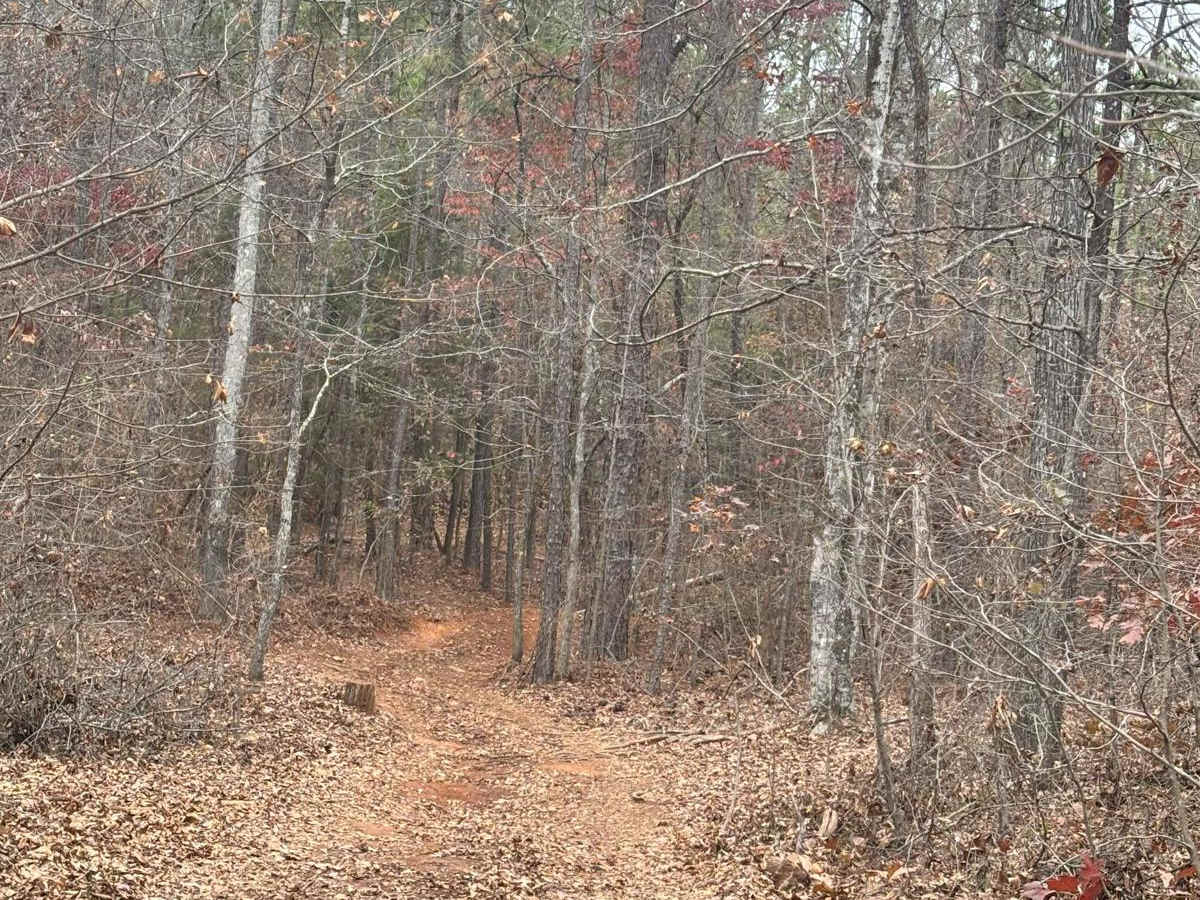 24B trail photo