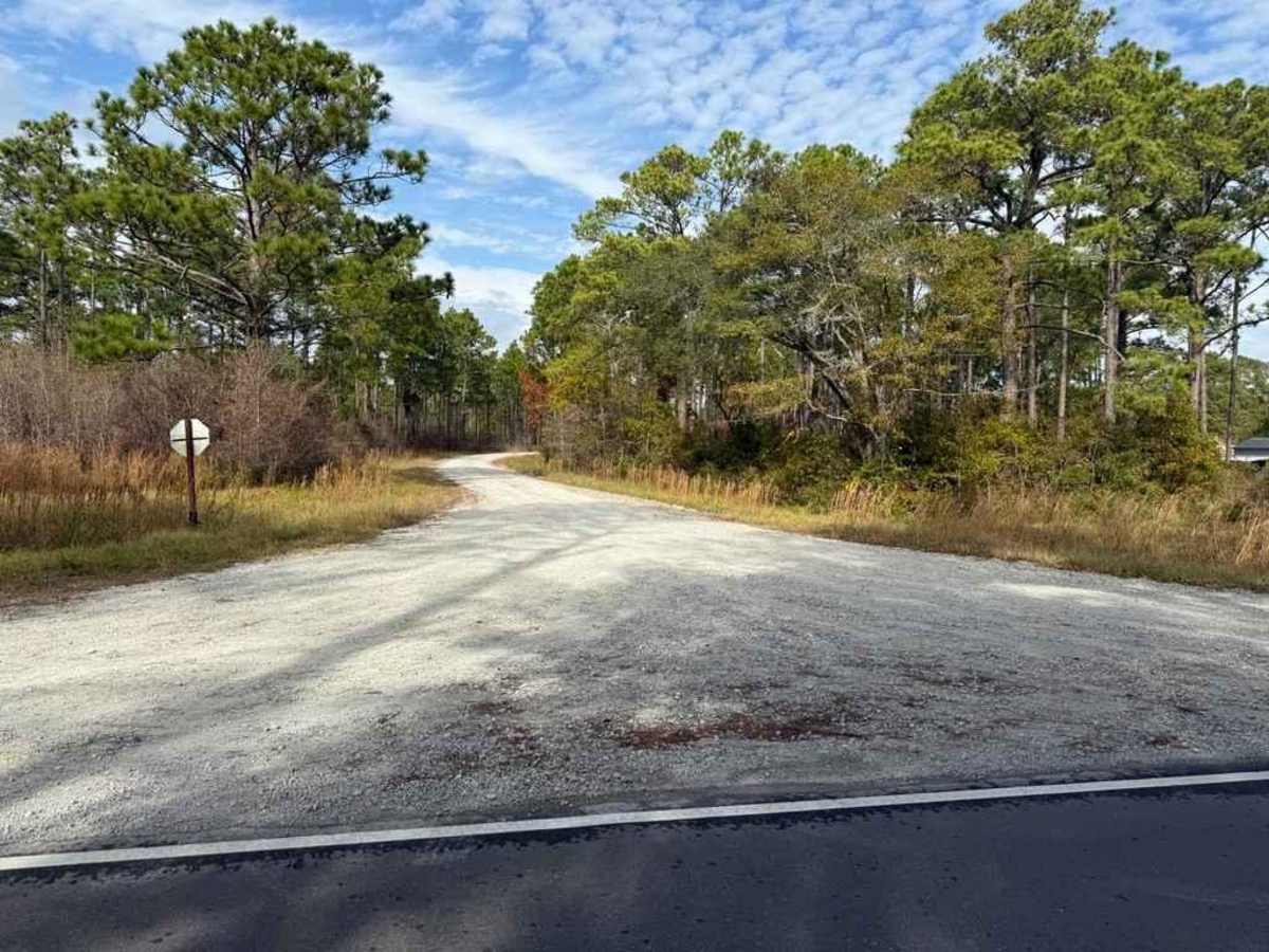 Bogue Road photo 2