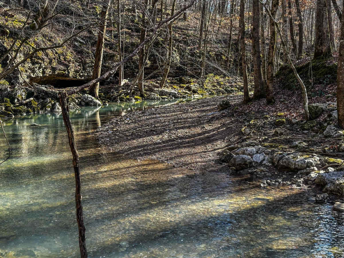 Little Coon River Trail photo 6