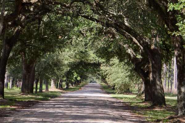 Bluff Lake Access