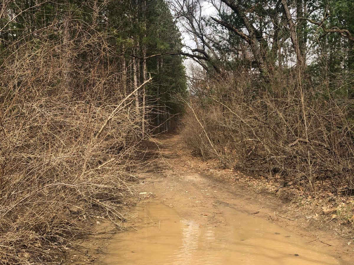 NFS Road 9453 photo 2