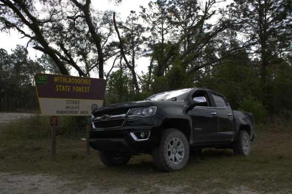 Citrus Wildlife Management | Trail 17