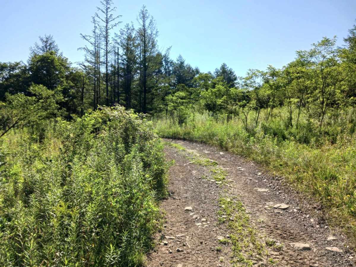 Trail 12R - Rock Run Recreation Area photo 6