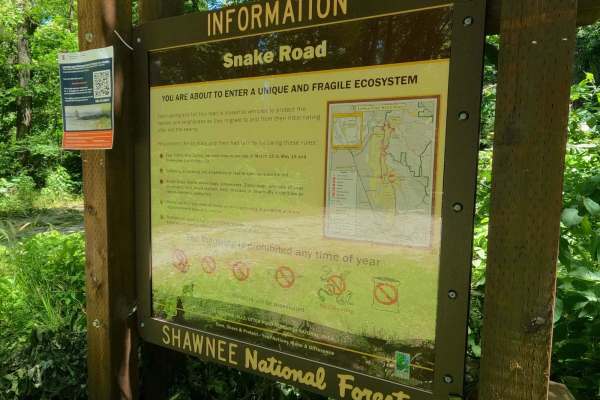 Snake Road - FS 345