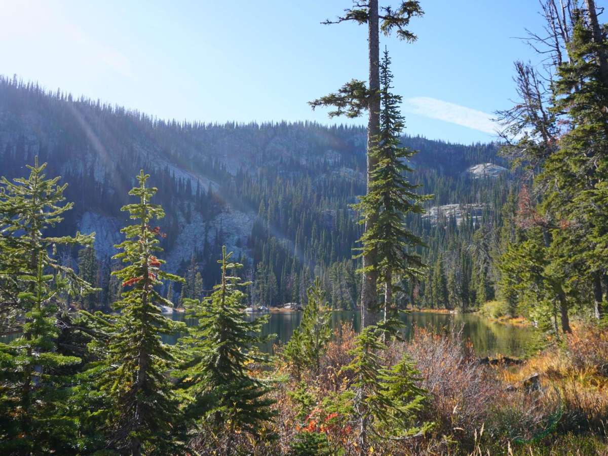 Cooks Lake photo 5