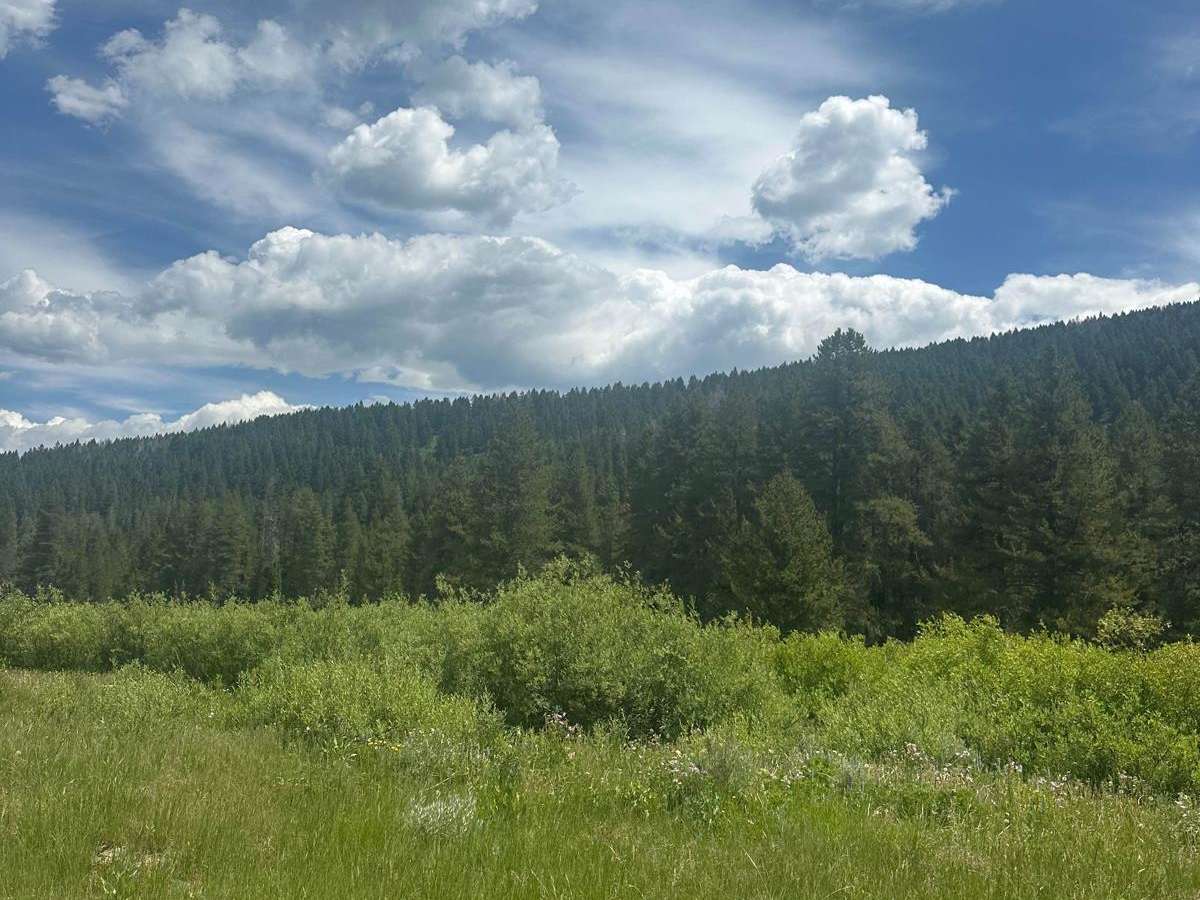 Diamond Creek photo 6