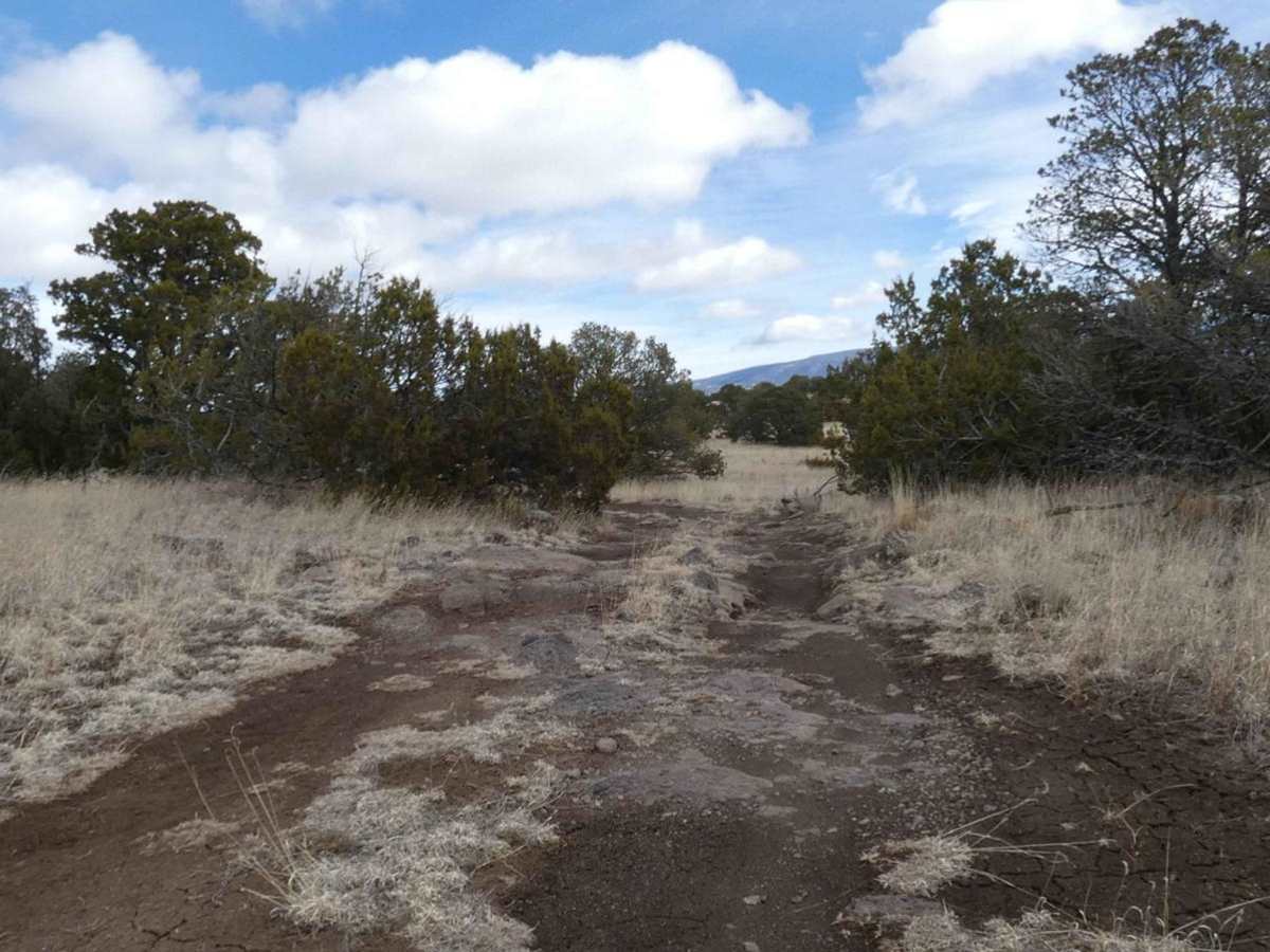 Campesino trail photo