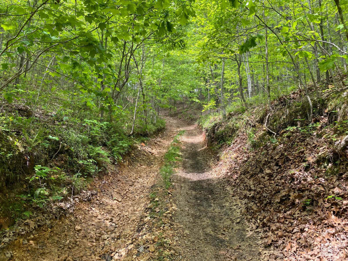 Comanche Hollow photo 5