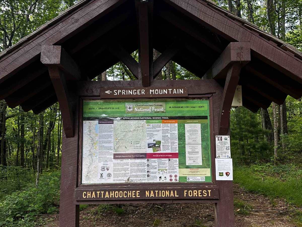 Springer Mountain Trail photo 2