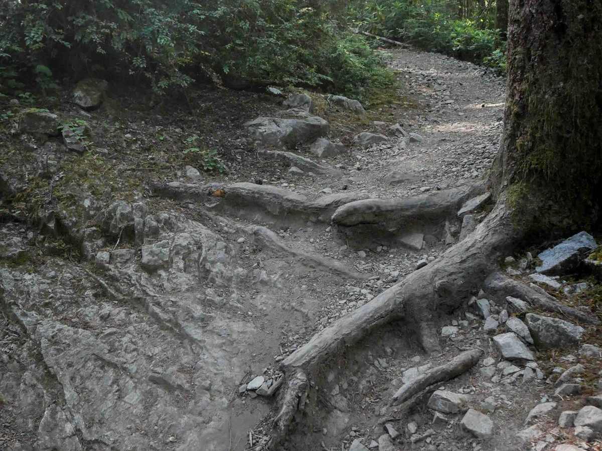 Gold Creek photo 3