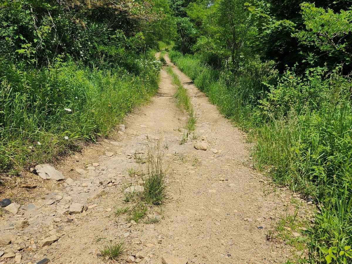 Trail 11J - Rock Run Recreation Area photo 3