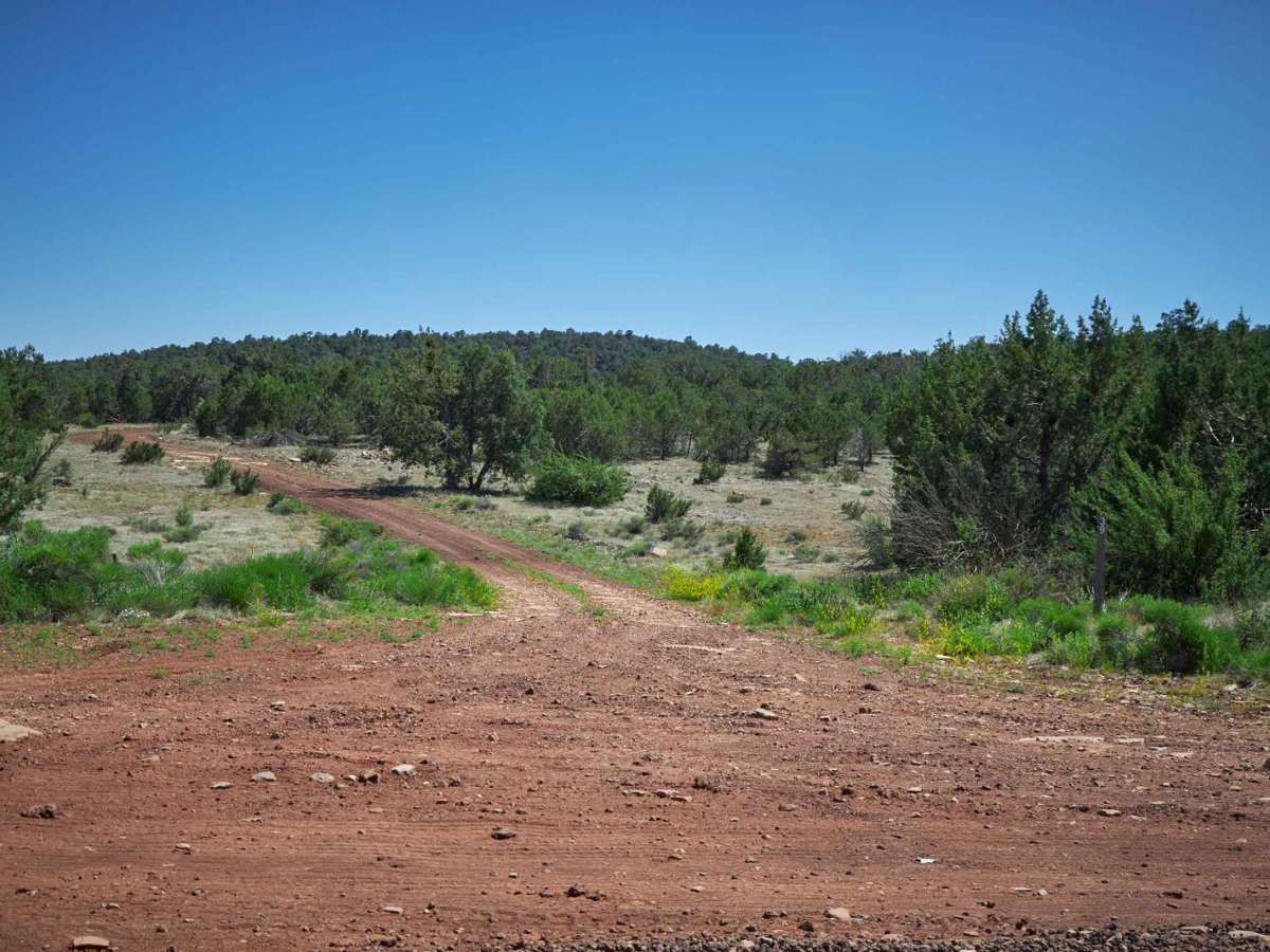 FR 39 trail photo