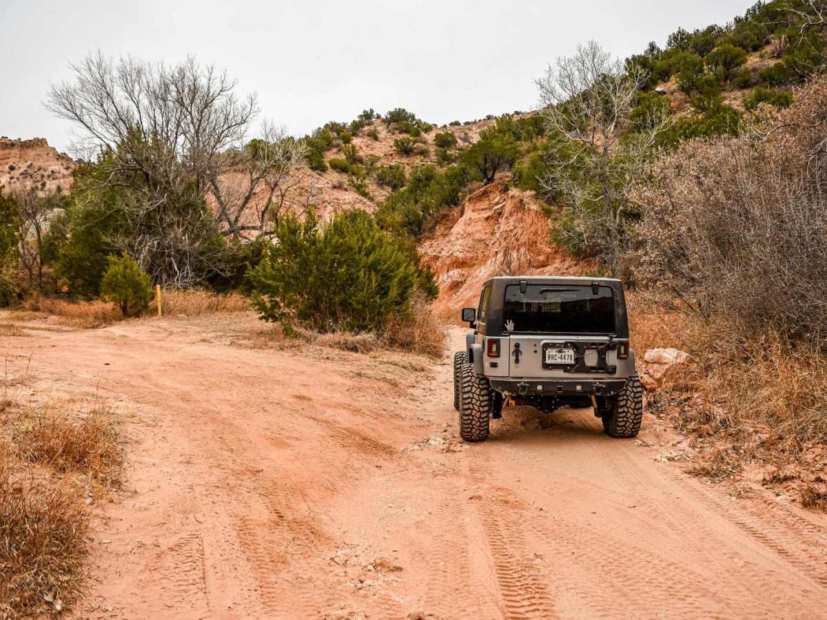 The Meadows Camp Trail trail photo